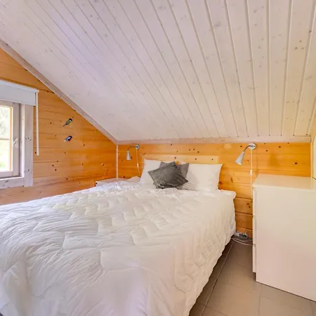 Chalet Himos-onni Inc 2 Lift Tickets During Winter *